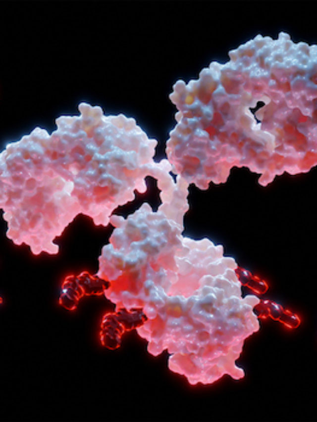 3D Rendering of Antibody Drug Conjugate Molecules